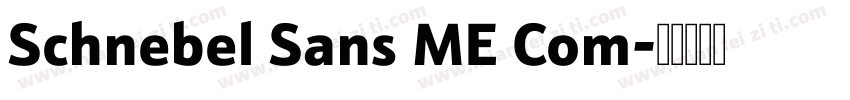 Schnebel Sans ME Com字体转换